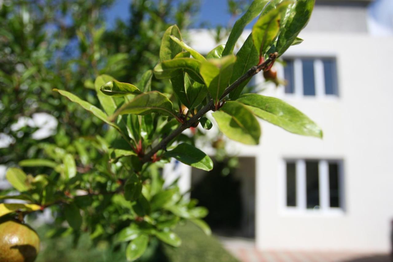 Apartman Mare Makarska Exteriör bild